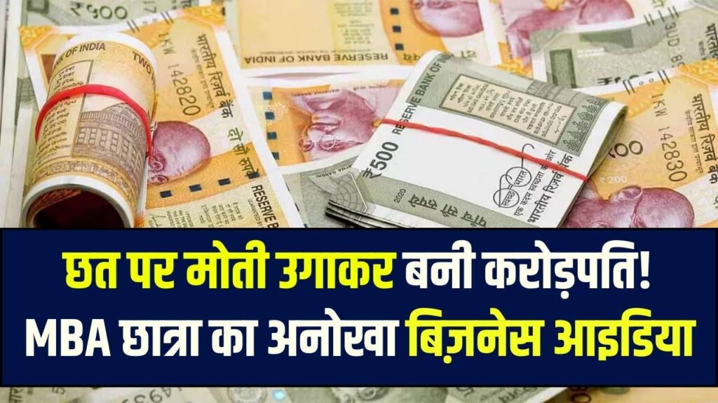 Business Idea: छत पर मोती उगाकर बनी करोड़ों की कहानी! कम लागत में जबरदस्त मुनाफा, MBA छात्रा का अनोखा स्टार्टअप 1 Business Idea: छत पर मोती उगाकर बनी करोड़ों की कहानी! कम लागत में जबरदस्त मुनाफा, MBA छात्रा का अनोखा स्टार्टअप