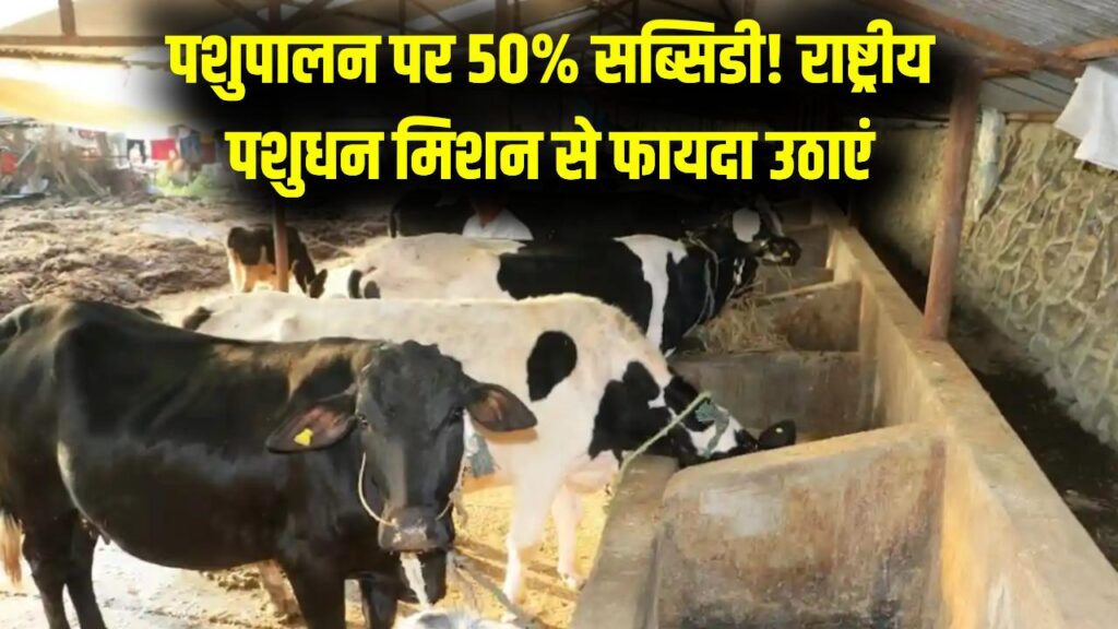 पशुपालन पर 50% तक सरकारी सब्सिडी! राष्ट्रीय पशुधन मिशन से ऐसे उठाएं पूरा फायदा