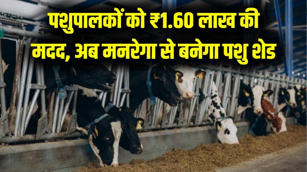 Pashu Shed Yojana Update: पशुपालकों को ₹1.60 लाख की मदद, मनरेगा से शेड बनाने का मौका
