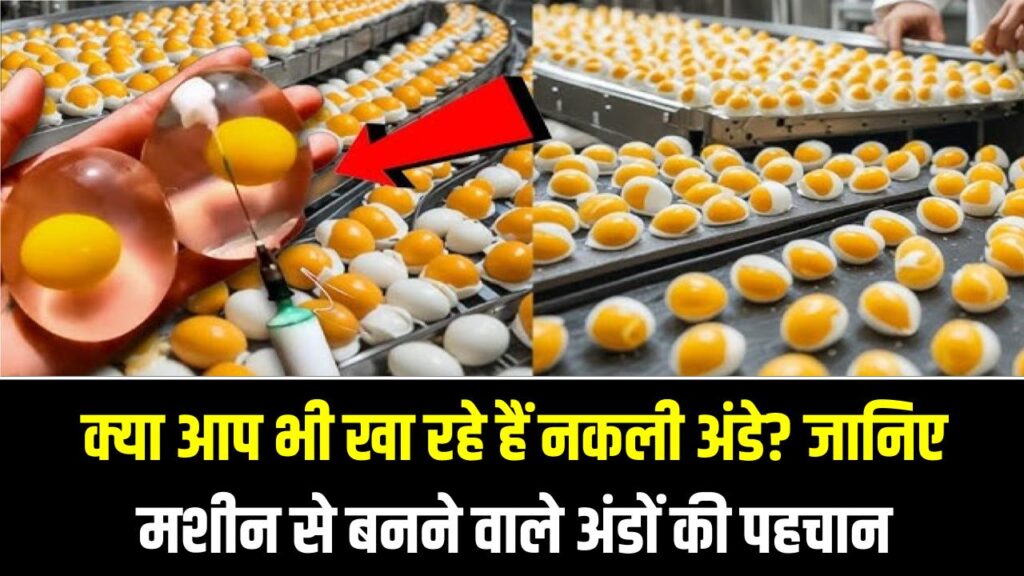 Fake Eggs in Market: क्या आप भी खा रहे हैं नकली अंडे? जानिए मशीन से बनने वाले अंडों की पहचान और उनके नुकसान