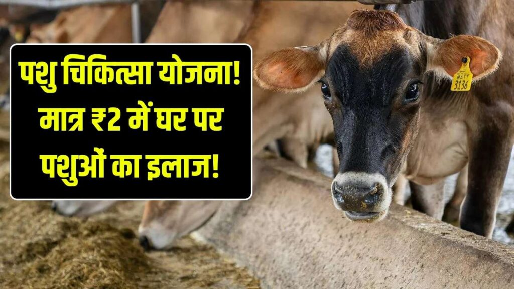 Pashu Chikitsa Yojana: ₹2 में पशुओं का इलाज! टोल-फ्री नंबर पर कॉल करें और घर आएगी मोबाइल वेटरनरी यूनिट