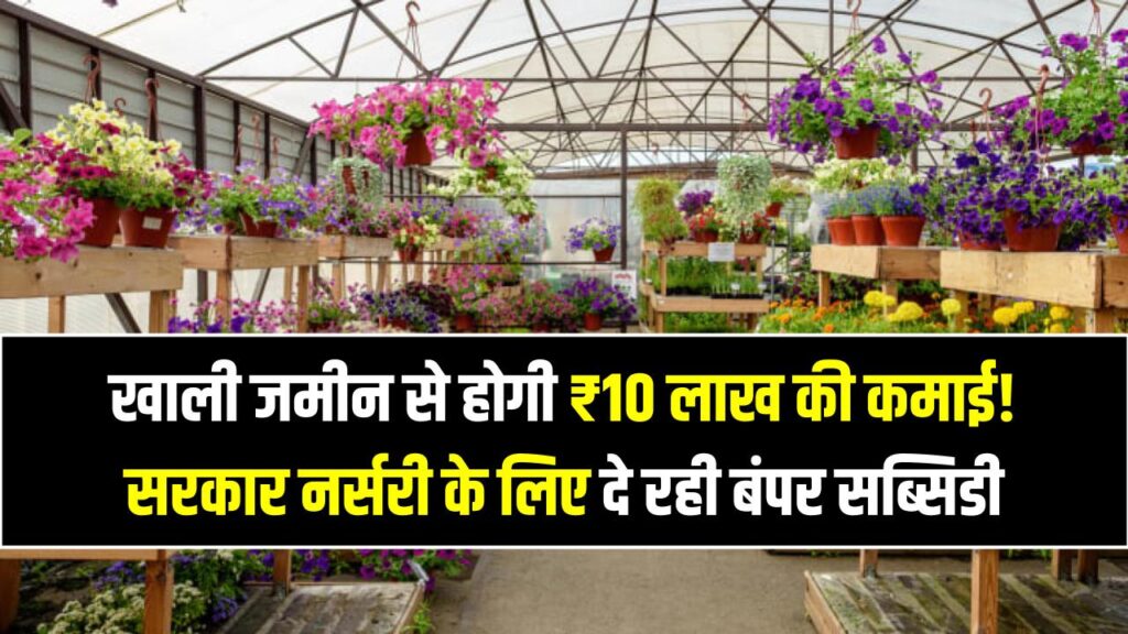 खाली जमीन से होगी ₹10 लाख की कमाई! सरकार नर्सरी के लिए दे रही बंपर सब्सिडी, जानें बिजनेस शुरू करने की पूरी डिटेल।