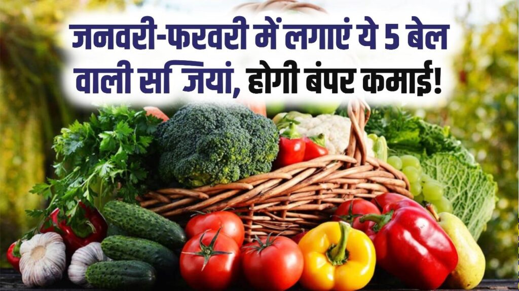 Profitable Farming: जनवरी–फरवरी में इन 5 बेल वाली सब्जियों से होगी जबरदस्त कमाई, 2 महीने में तैयार फसल
