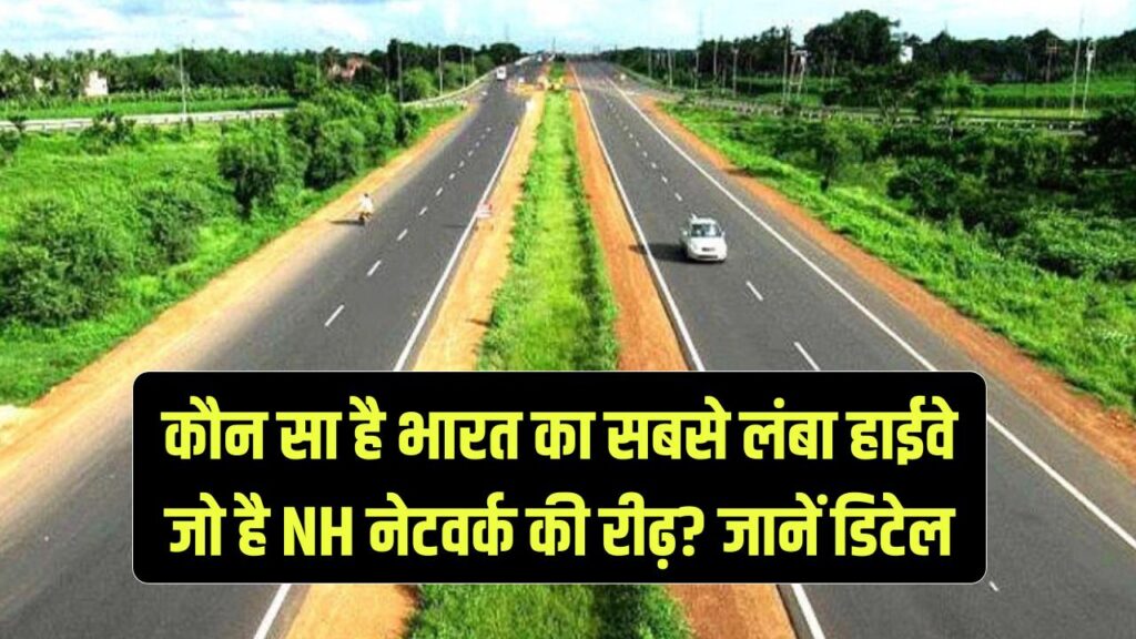 India’s Longest Highway: कौन सा है भारत का सबसे लंबा हाईवे जिसे कहा जाता है NH नेटवर्क की रीढ़? जानें पूरी जानकारी
