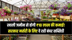खाली जमीन से होगी ₹10 लाख की कमाई! सरकार नर्सरी के लिए दे रही बंपर सब्सिडी, जानें बिजनेस शुरू करने की पूरी डिटेल।